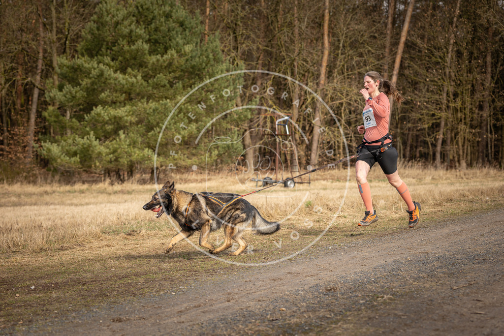 DV3A4001 | Hundefotografie, Tierfotograf, Pfotenfotografie, Fotoshooting Hund, Hunde Portrait, Hundesport, Hundeportraits, Heideshooting, Hunde, Sportfotograf, Hundefotograf, Turnierhundsport, THS,  - Realisiert mit Pictrs.com