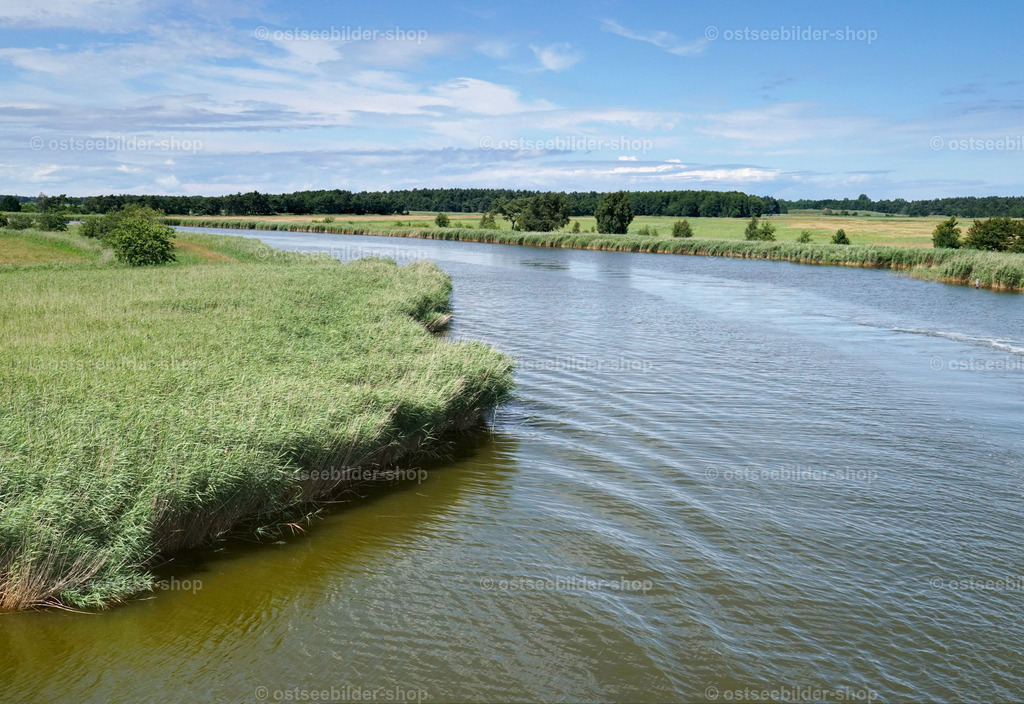 Prerower Strom | Das Bild zeigt eine Flussbiegung des Prerower Stroms im Nationalpark Vorpommersche Boddenlandschaft
