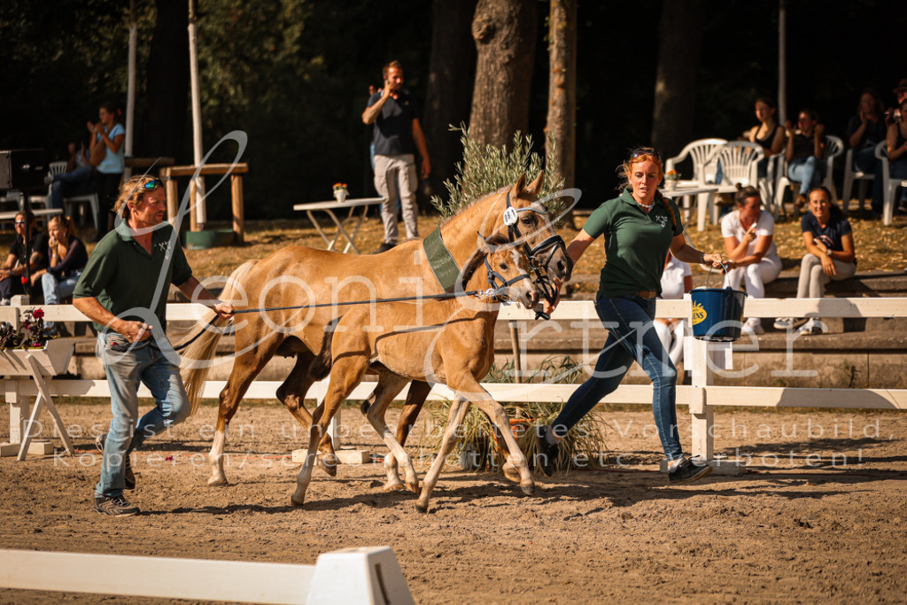 10.DoRP00244 | Leoni Ertmer Photography - Realisiert mit Pictrs.com