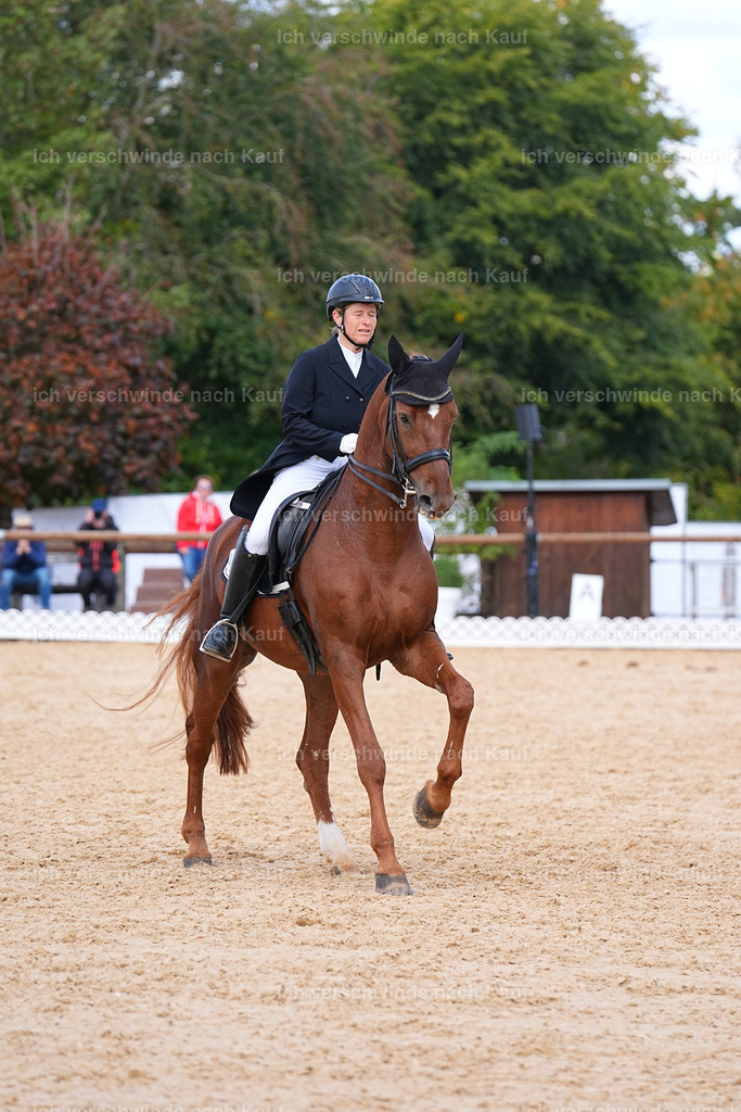 09_2-090-DRESSUR  S_  -Marixx-5967 | working equitationturnier fotograf videograf stoibphotography marixx film working equitation deutschland reitsport turnierfotografie eventfotografie equestrian events