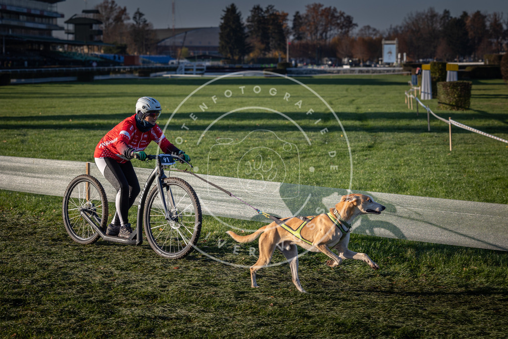 CaniXpix_0L8A3539 | Hundefotografie, Tierfotograf, Pfotenfotografie, Fotoshooting Hund, Hunde Portrait, Hundesport, Hundeportraits, Heideshooting, Hunde, Sportfotograf, Hundefotograf, Turnierhundsport, THS,  - Realisiert mit Pictrs.com