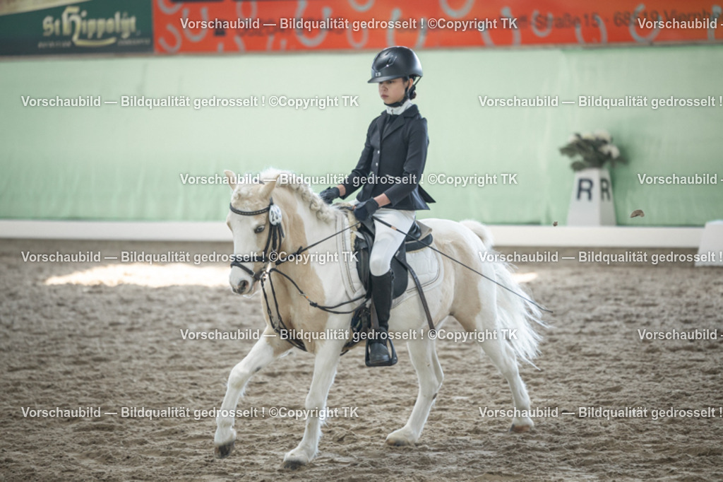 _D5A9103 | Emotionale Pferde- & People-Fotografie rund um Heidelberg, Leimen & Umgebung. Natürliche Fotos von Pferd, Mensch & Familie. Jetzt Termin sichern!