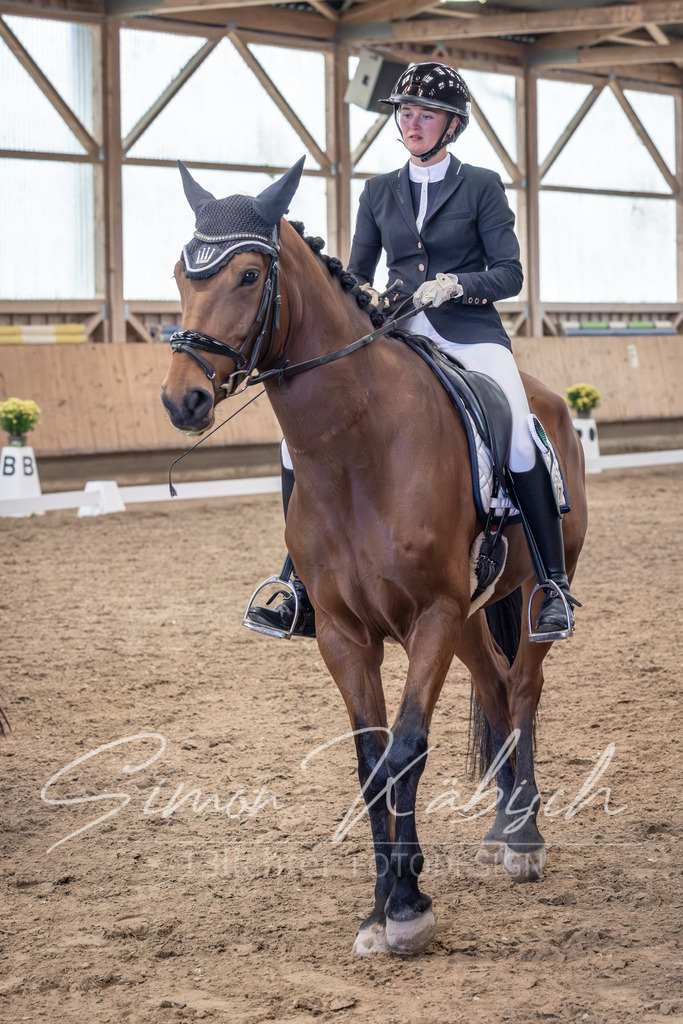 20251011-_3LI0751 | Tierfotografie Pferde, Hunde, Katzen, Haustiere.
Turnierfotografie Reitturniere, Reiten, Springreiten, Dressur in Hanau, dem Main-Kinzig-Kreis und dem Rhein-Main- Gebiet um Frankfurt
