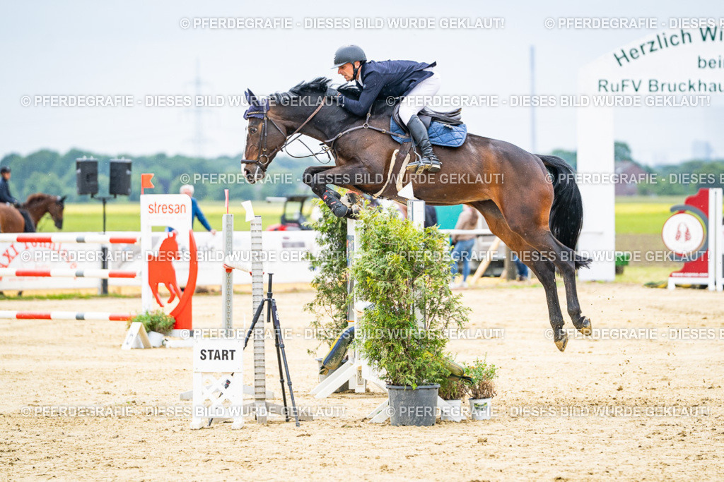 DSC06857 | Pferdegrafie