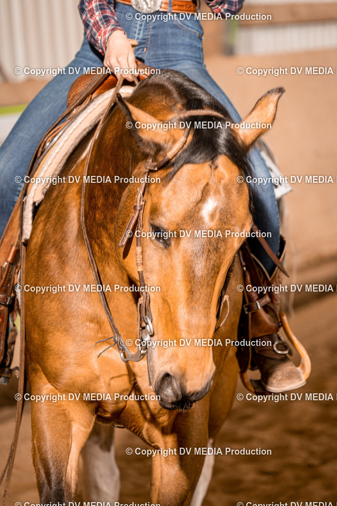 BA400856 | dv-media-shop - Realisiert mit Pictrs.com