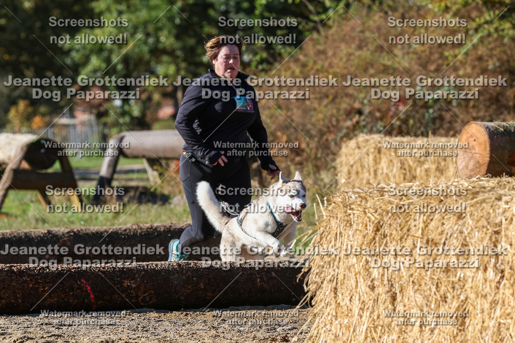 Dog Paparazzi - Strongdog 10-25-2454 | Dog Paparazzi Jeanette Grottendiek Fotografie & Videografie - Realisiert mit Pictrs.com