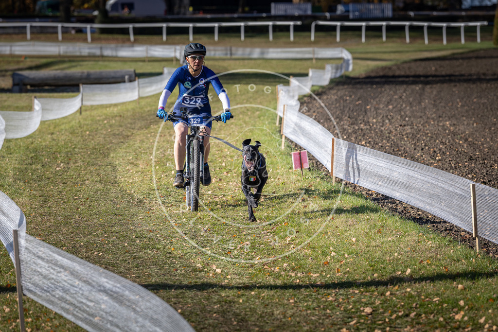 CaniXpix_DV3A6695 | Hundefotografie, Tierfotograf, Pfotenfotografie, Fotoshooting Hund, Hunde Portrait, Hundesport, Hundeportraits, Heideshooting, Hunde, Sportfotograf, Hundefotograf, Turnierhundsport, THS,  - Realisiert mit Pictrs.com
