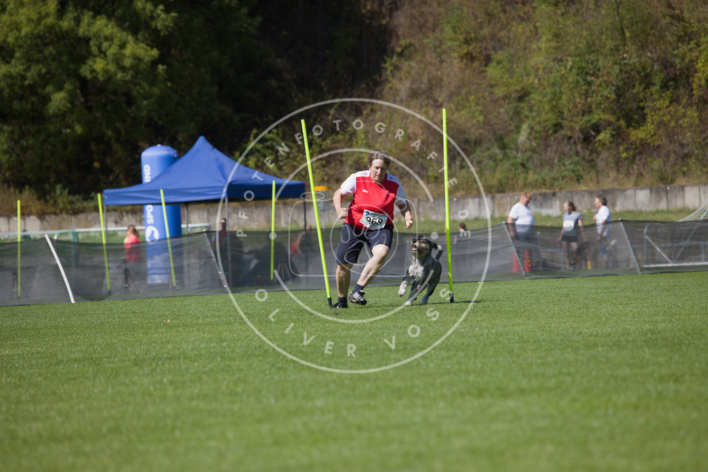 0L8A6592 | Hundefotografie, Tierfotograf, Pfotenfotografie, Fotoshooting Hund, Hunde Portrait, Hundesport, Hundeportraits, Heideshooting, Hunde, Sportfotograf, Hundefotograf, Turnierhundsport, THS,  - Realisiert mit Pictrs.com