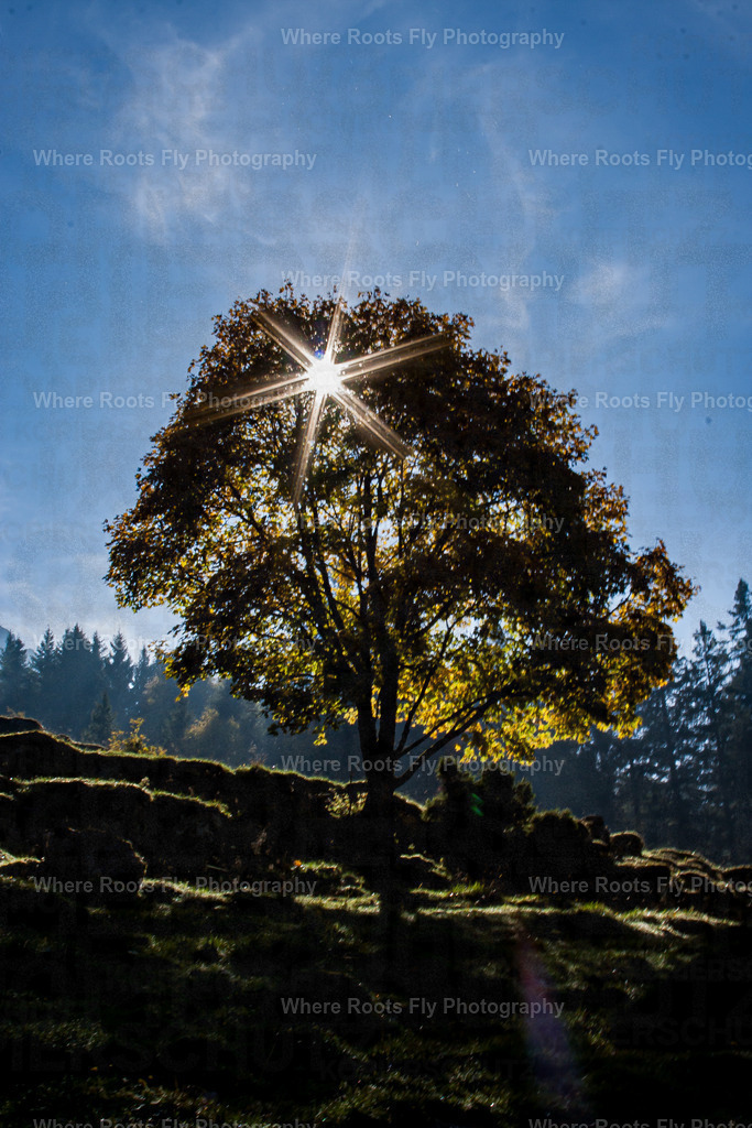 PSX_20251015_212138 | mtkfoto_ - Realisiert mit Pictrs.com