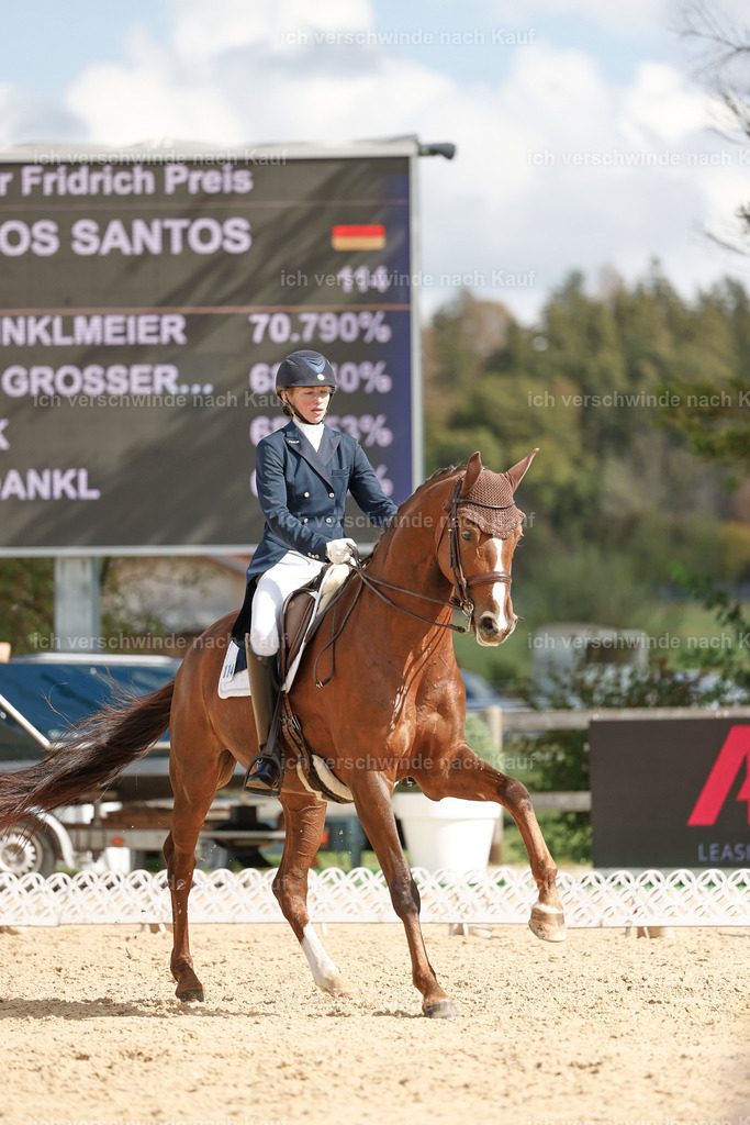 09_2-114-DRESSUR  S_  -StoibPH-5886 | working equitationturnier fotograf videograf stoibphotography marixx film working equitation deutschland reitsport turnierfotografie eventfotografie equestrian events
