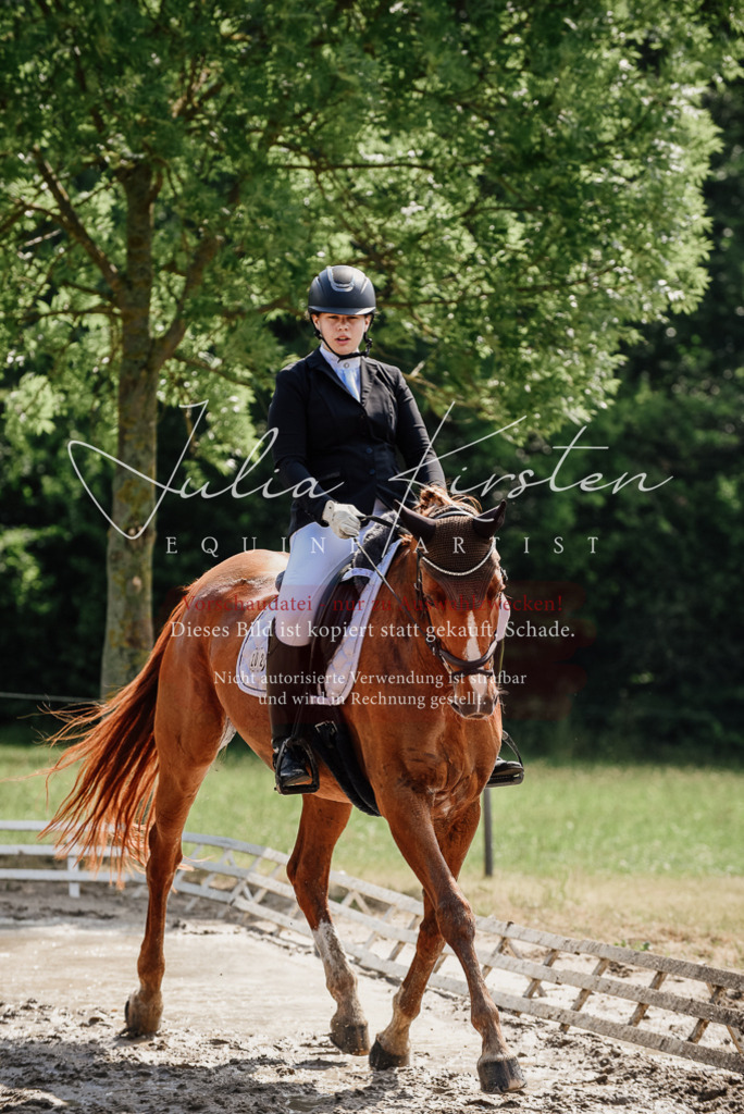 DSC_0263 | Pferde- und Turnierfotografie in Westsachsen. Pferdeportraits, Auftragszeichnungen und intuitive Kunst.