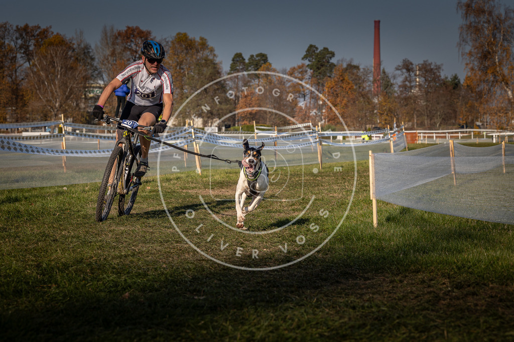 CaniXpix_0L8A6707 | Hundefotografie, Tierfotograf, Pfotenfotografie, Fotoshooting Hund, Hunde Portrait, Hundesport, Hundeportraits, Heideshooting, Hunde, Sportfotograf, Hundefotograf, Turnierhundsport, THS,  - Realisiert mit Pictrs.com