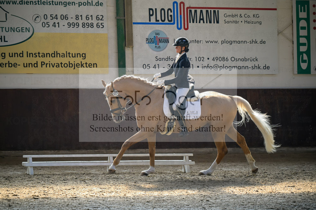 Reitturnier Voxtrup | Entdecke hochwertige Reitturnierfotos von Foto Oger. Professionell, emotional und authentisch – jetzt Lieblingsmomente im Shop bestellen.Deutschlandweite Turnierfotografie. - Realisiert mit Pictrs.com