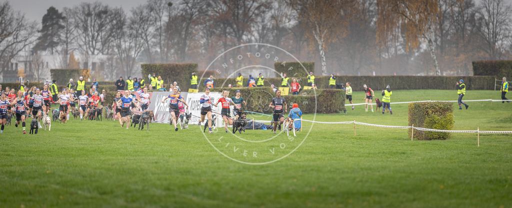 CaniXpix_DV3A8681 | Hundefotografie, Tierfotograf, Pfotenfotografie, Fotoshooting Hund, Hunde Portrait, Hundesport, Hundeportraits, Heideshooting, Hunde, Sportfotograf, Hundefotograf, Turnierhundsport, THS,  - Realisiert mit Pictrs.com