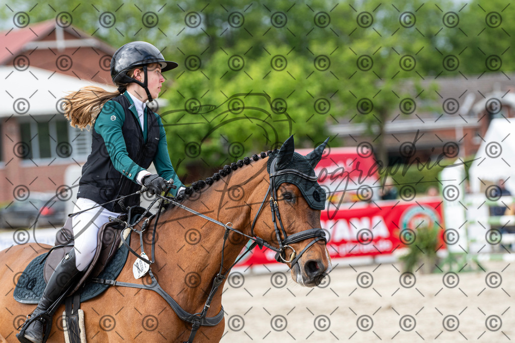 KPT_0243 | andre_photographic