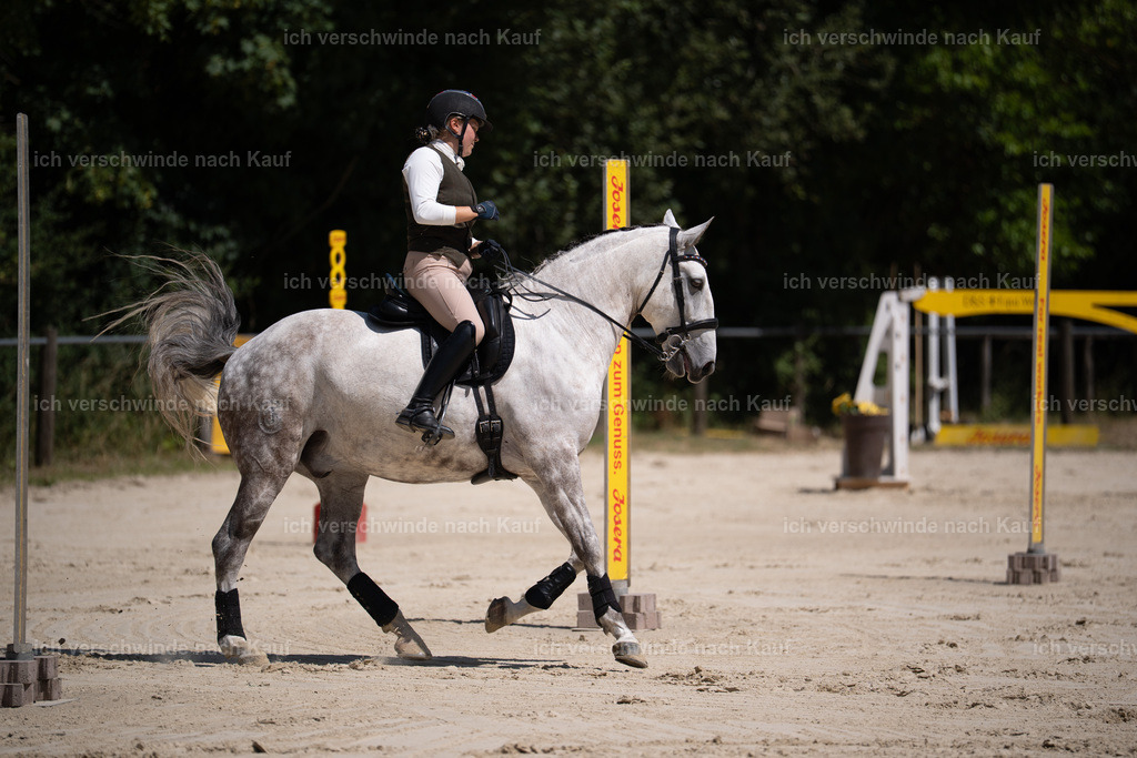 WS_ST_87_stoibphotography_SO10878 | working equitationturnier fotograf videograf stoibphotography marixx film working equitation deutschland reitsport turnierfotografie eventfotografie equestrian events