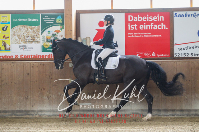 DKP43496 | Turniersportfotografie; Pferdefotografie; Dressurfotografie