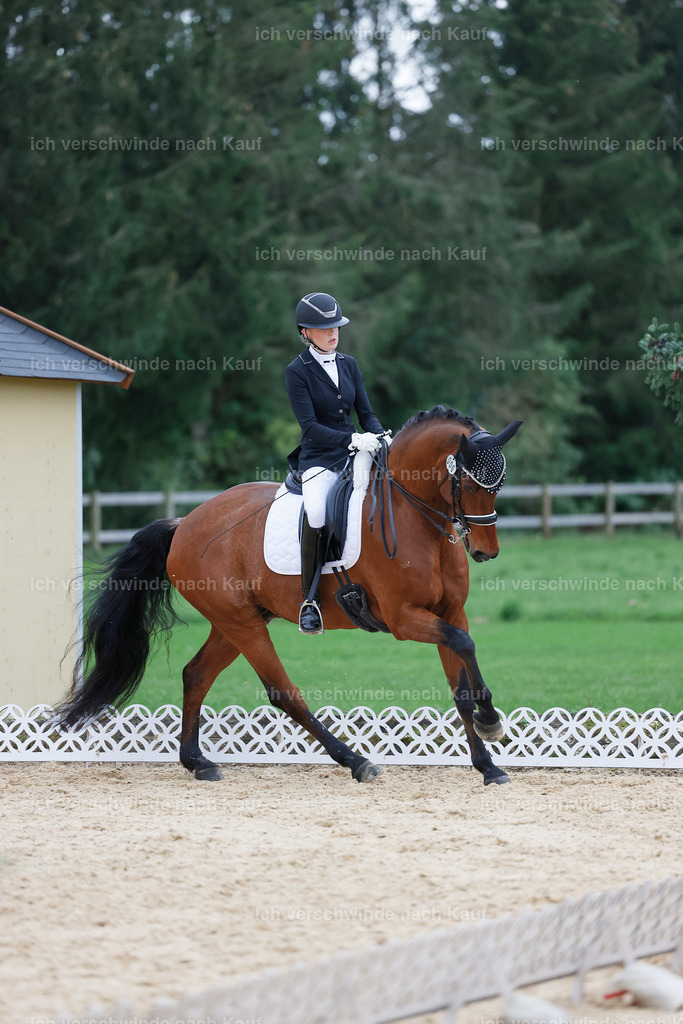 04_2-006-Dressur M__ -StoibPH-2973 | working equitationturnier fotograf videograf stoibphotography marixx film working equitation deutschland reitsport turnierfotografie eventfotografie equestrian events