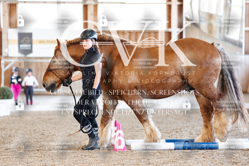 CK906357 | Turnierfotografie Pferdefotografie Trier Rheinland-Pfalz Pferdesport Reitsport Tierfotografie Sportfotografie Pferdevideo Pferdevideografie Equestrianvideography equestrianphotography  - Realisiert mit Pictrs.com