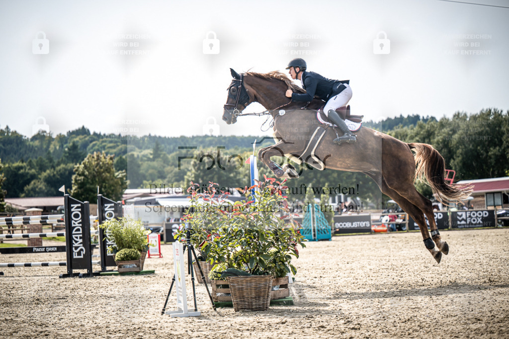 DOS_8360 | Entdecke hochwertige Reitturnierfotos von Foto Oger. Professionell, emotional und authentisch – jetzt Lieblingsmomente im Shop bestellen. - Realisiert mit Pictrs.com