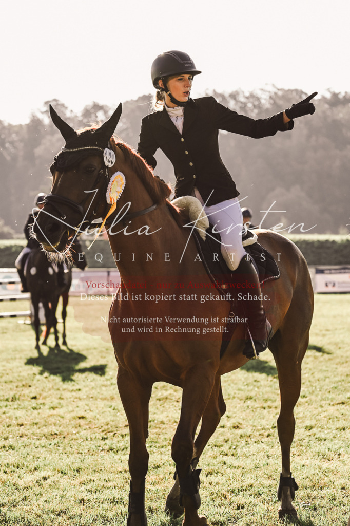 DSC_4546 | Pferde- und Turnierfotografie in Westsachsen. Pferdeportraits, Auftragszeichnungen und intuitive Kunst.