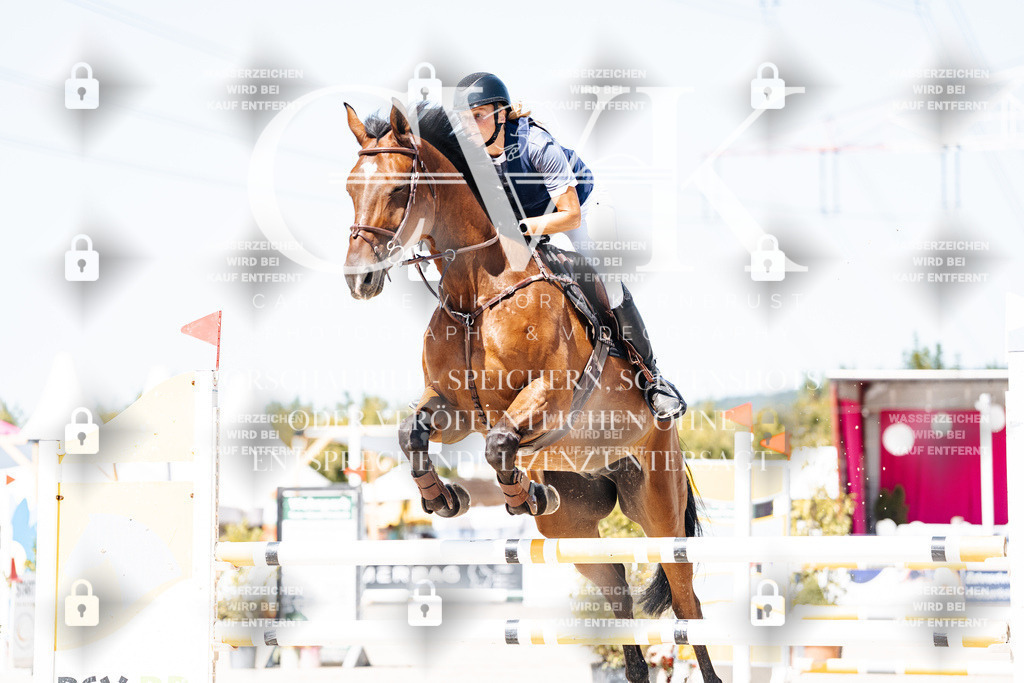 CK909471 | Turnierfotografie Pferdefotografie Trier Rheinland-Pfalz Pferdesport Reitsport Tierfotografie Sportfotografie Pferdevideo Pferdevideografie Equestrianvideography equestrianphotography  - Realisiert mit Pictrs.com