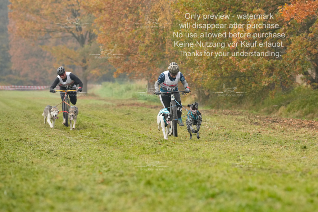 Visbeck_Sa_DS2DR2-2 | stephaniefillaphotographie - Realisiert mit Pictrs.com