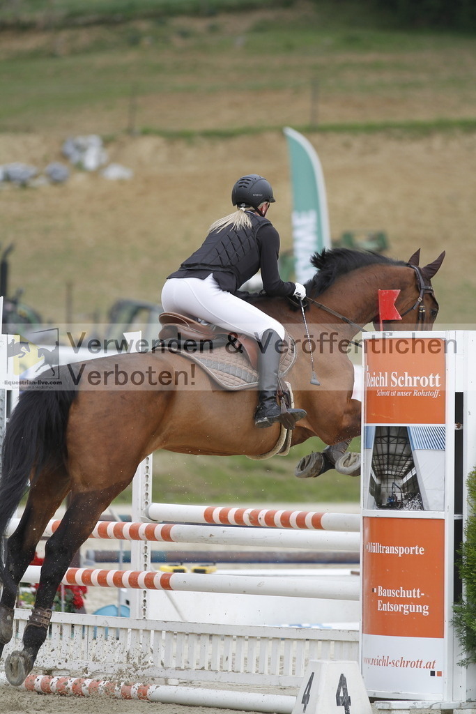 _MG_1144 | equestrian-live-com