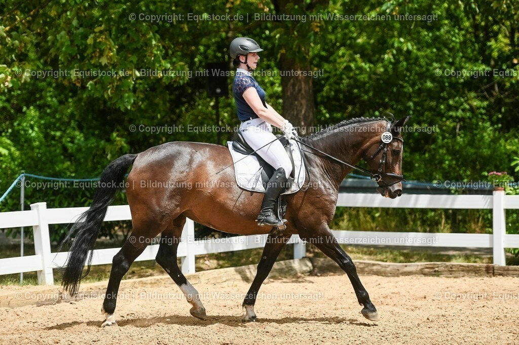 20230715_05_Dressurprüfung Kl.A++_0361 | equistock