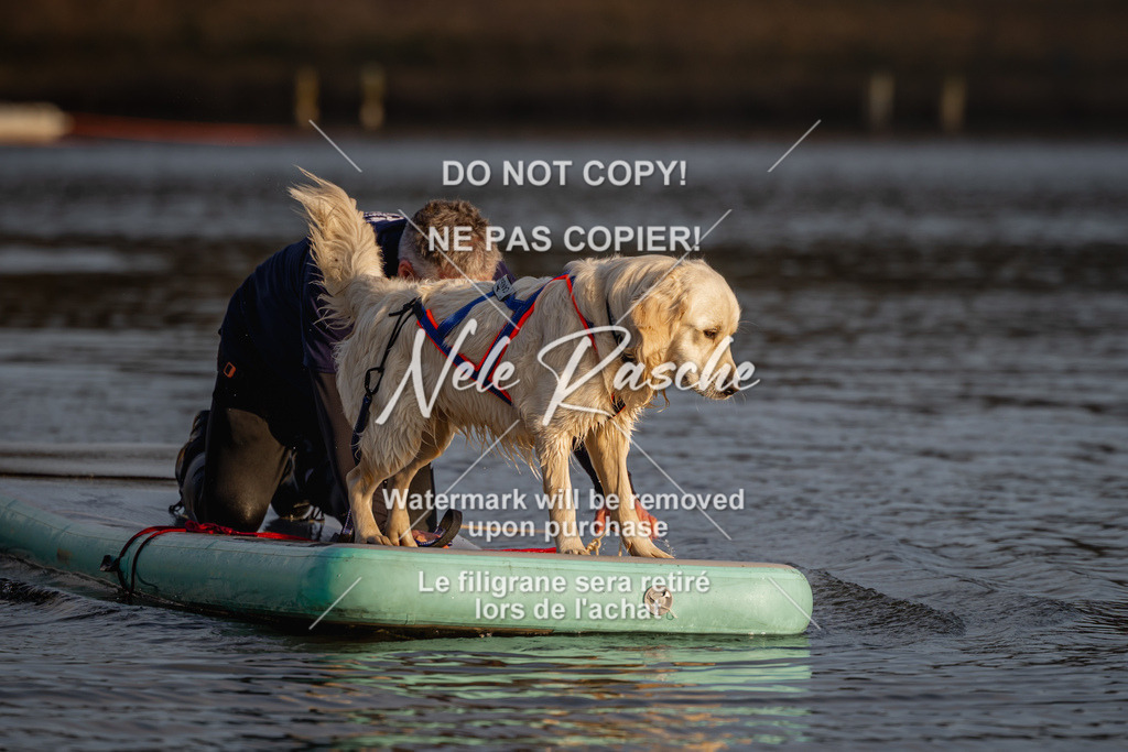 nelerasche_Hulsbeek_Sa1700-1730_353 | nelerasche
