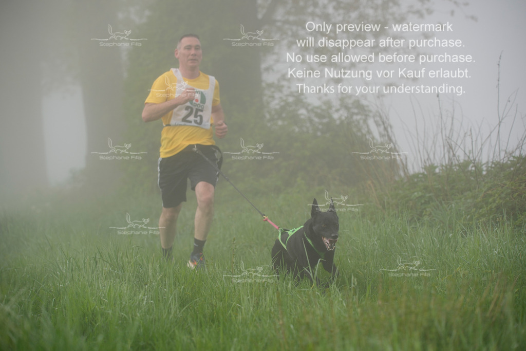 SA_GL2-145 | stephaniefillaphotographie - Realisiert mit Pictrs.com