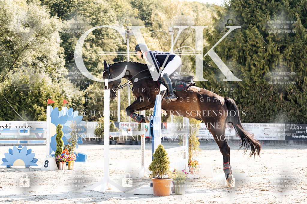 CK902425 | Turnierfotografie Pferdefotografie Trier Rheinland-Pfalz Pferdesport Reitsport Tierfotografie Sportfotografie Pferdevideo Pferdevideografie Equestrianvideography equestrianphotography  - Realisiert mit Pictrs.com