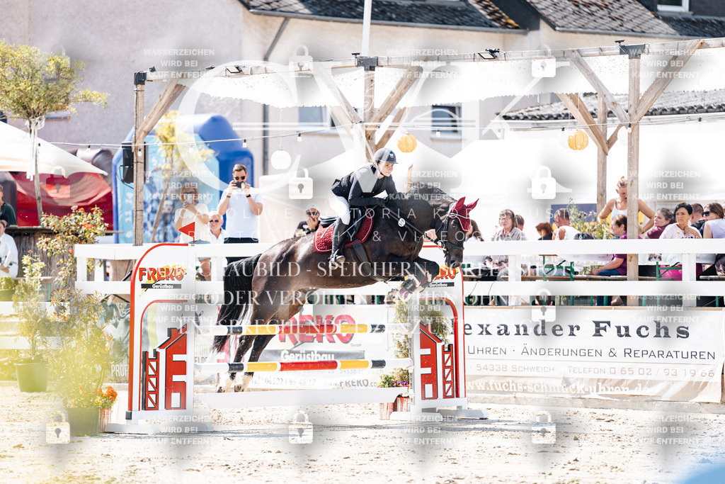 CK908796 | Turnierfotografie Pferdefotografie Trier Rheinland-Pfalz Pferdesport Reitsport Tierfotografie Sportfotografie Pferdevideo Pferdevideografie Equestrianvideography equestrianphotography  - Realisiert mit Pictrs.com