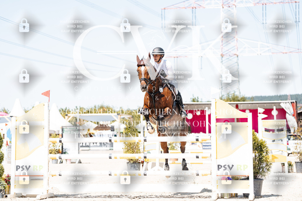 CK909492 | Turnierfotografie Pferdefotografie Trier Rheinland-Pfalz Pferdesport Reitsport Tierfotografie Sportfotografie Pferdevideo Pferdevideografie Equestrianvideography equestrianphotography  - Realisiert mit Pictrs.com