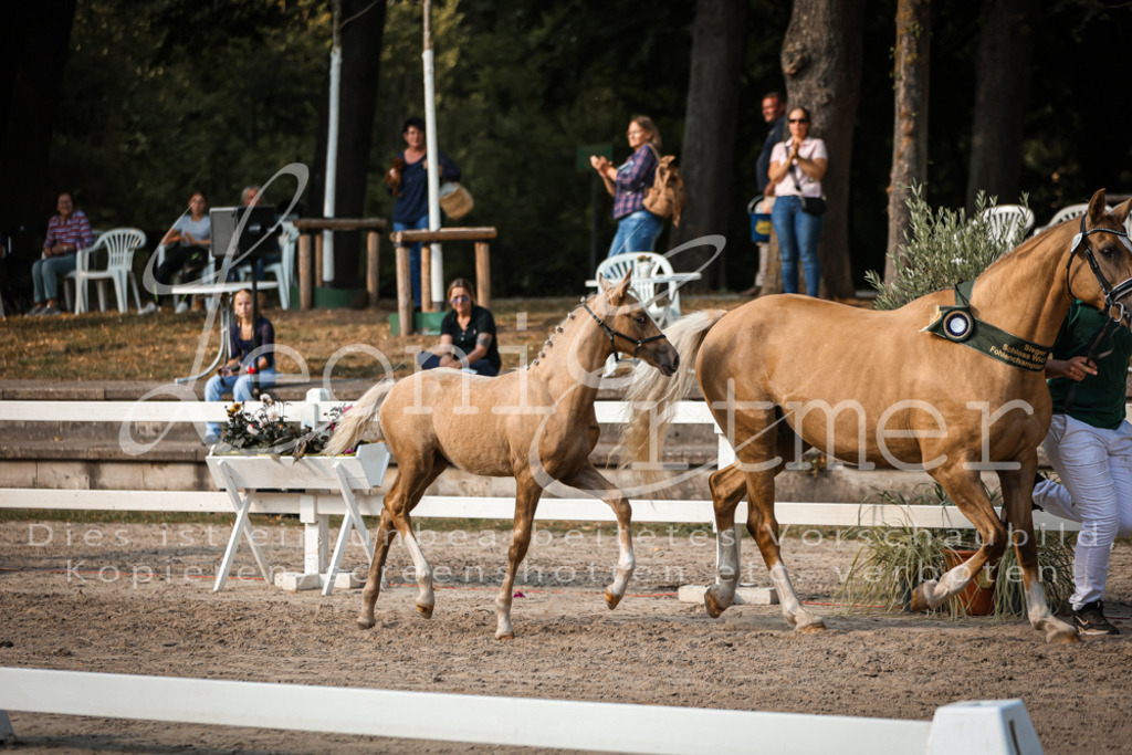 11.DoRP00191 | Leoni Ertmer Photography - Realisiert mit Pictrs.com