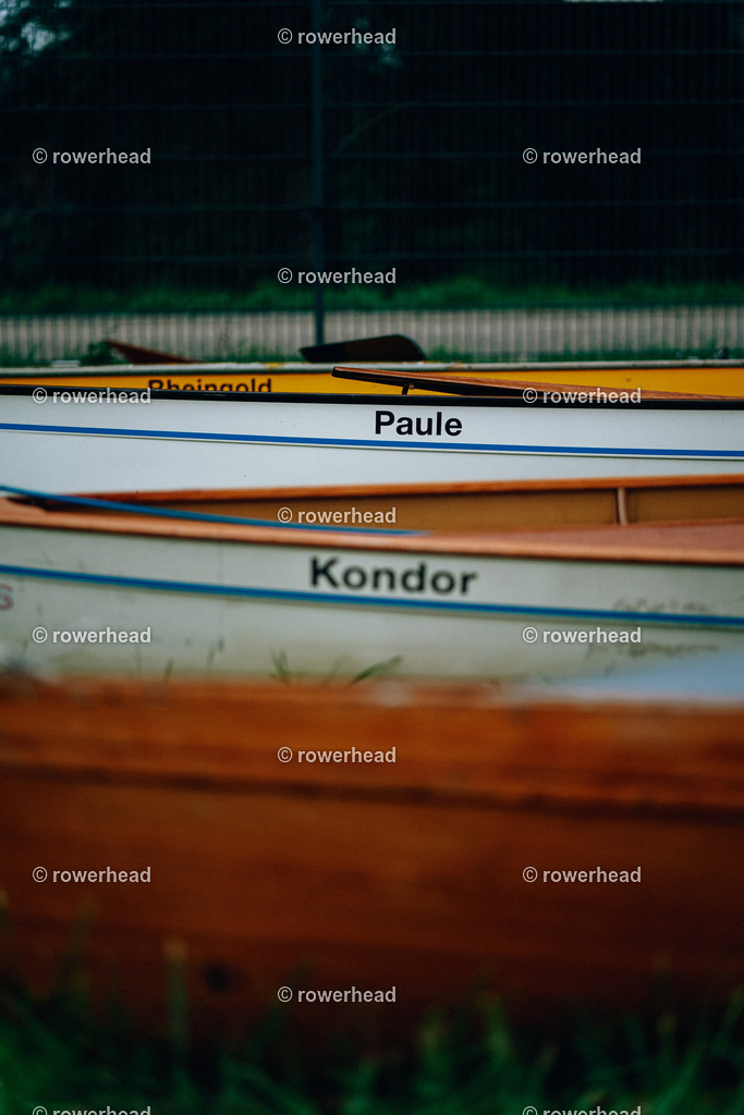 20231007_rowerhead_R001_S0026_DSC04368 | rowerhead - Realisiert mit Pictrs.com