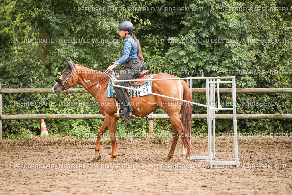 DSC04380 | Pferdegrafie