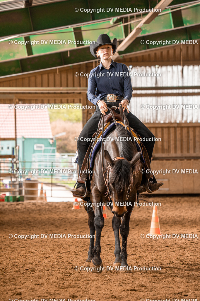 BAL00551 | dv-media-shop - Realisiert mit Pictrs.com