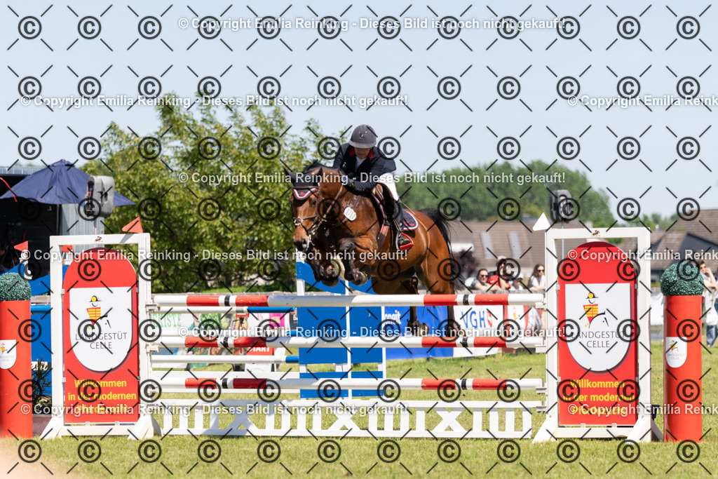 CL5A1182 | Emilia Reinking Fotografie - Realisiert mit Pictrs.com