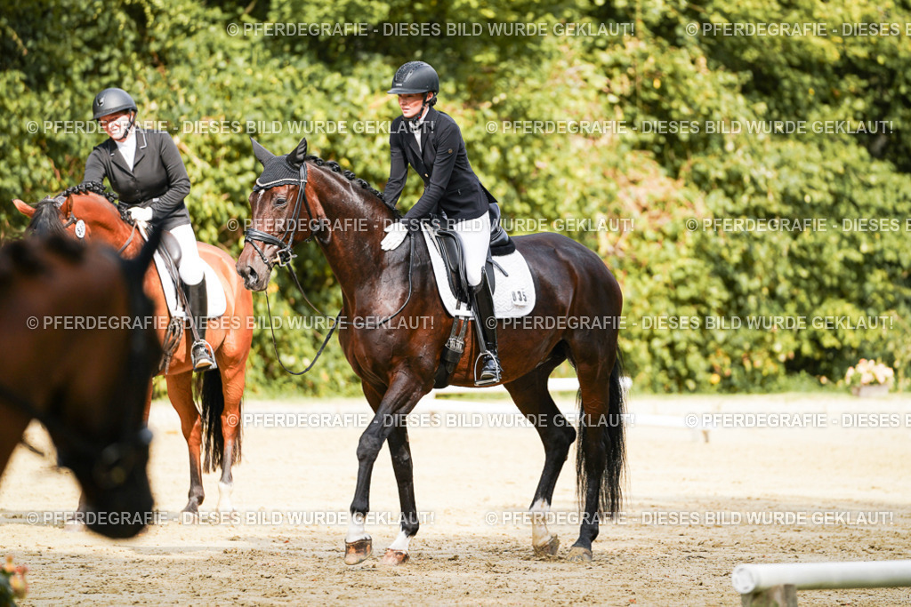 DSC02098 | Pferdegrafie