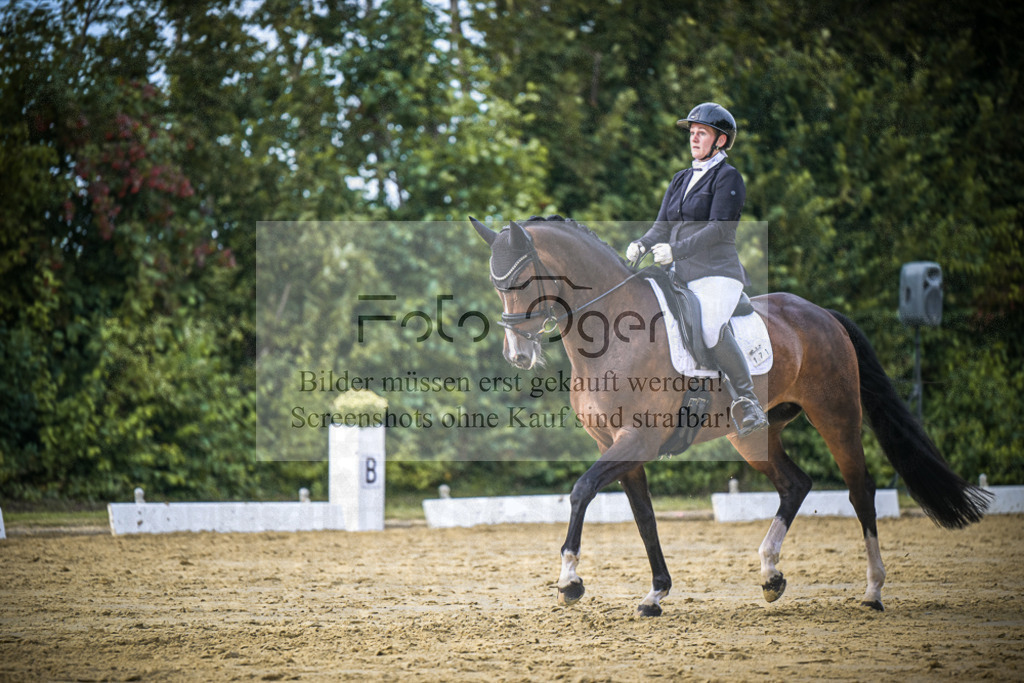 DOS_0198 | Entdecke hochwertige Reitturnierfotos von Foto Oger. Professionell, emotional und authentisch – jetzt Lieblingsmomente im Shop bestellen.Deutschlandweite Turnierfotografie. - Realisiert mit Pictrs.com