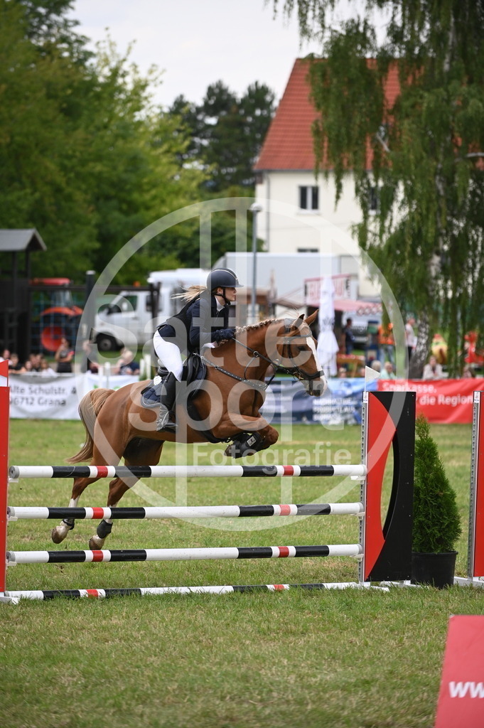 DSC_2302 | sattelsport - Realisiert mit Pictrs.com