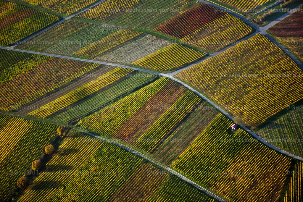 3905320 | Weinbergslandschaft an der Mainschleife bei Escherndorf und Nordheim