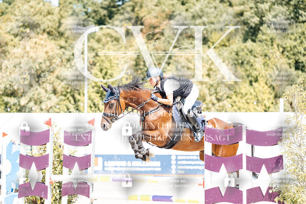 CK900737 | Turnierfotografie Pferdefotografie Trier Rheinland-Pfalz Pferdesport Reitsport Tierfotografie Sportfotografie Pferdevideo Pferdevideografie Equestrianvideography equestrianphotography  - Realisiert mit Pictrs.com