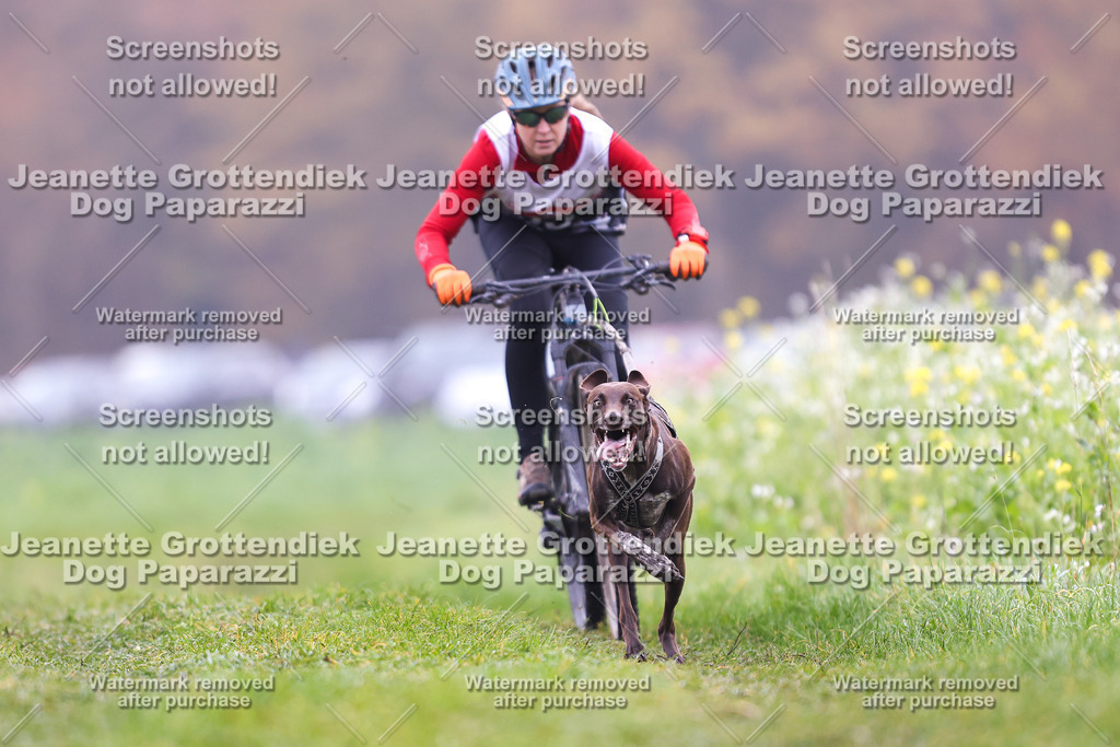 Dog Paparazzi - Visbeck 25 -141 | Dog Paparazzi Jeanette Grottendiek Fotografie & Videografie - Realisiert mit Pictrs.com