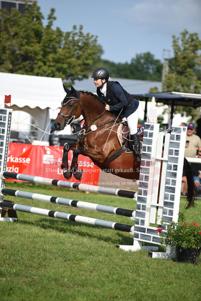DSC_8871 | Pferde- und Turnierfotografie in Westsachsen. Pferdeportraits, Auftragszeichnungen und intuitive Kunst.