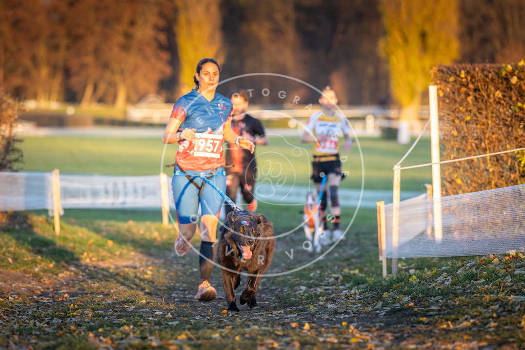 CaniXpix_DV3A5726 | Hundefotografie, Tierfotograf, Pfotenfotografie, Fotoshooting Hund, Hunde Portrait, Hundesport, Hundeportraits, Heideshooting, Hunde, Sportfotograf, Hundefotograf, Turnierhundsport, THS,  - Realisiert mit Pictrs.com