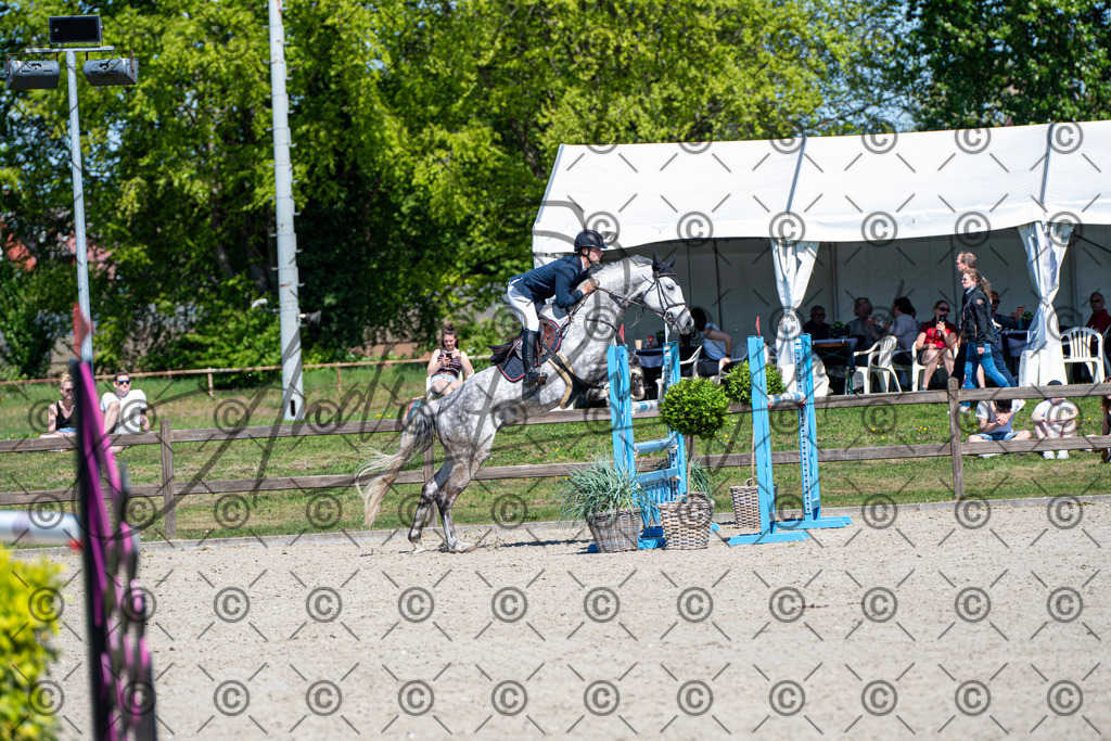 KPT_1164 | andre_photographic