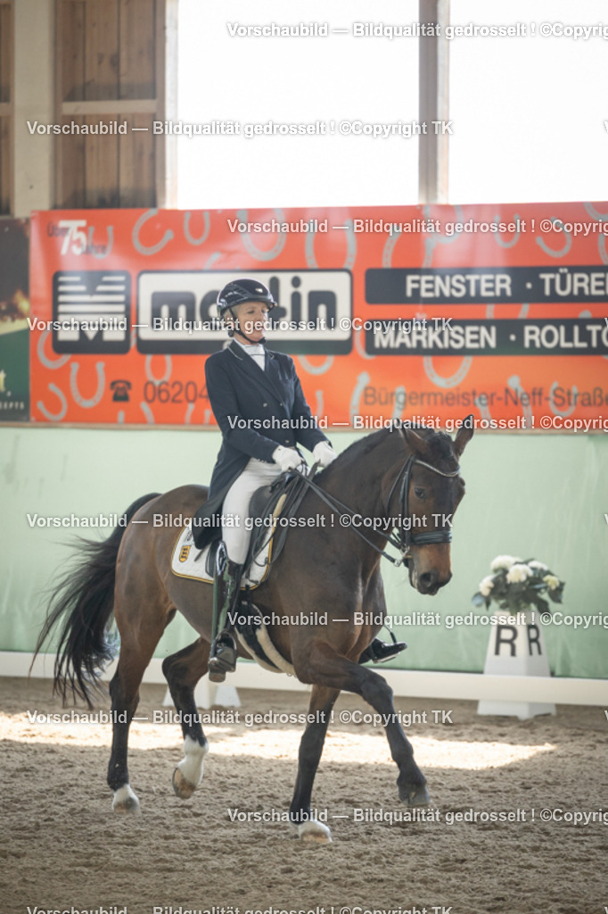 _D5A1504 | Emotionale Pferde- & People-Fotografie rund um Heidelberg, Leimen & Umgebung. Natürliche Fotos von Pferd, Mensch & Familie. Jetzt Termin sichern!