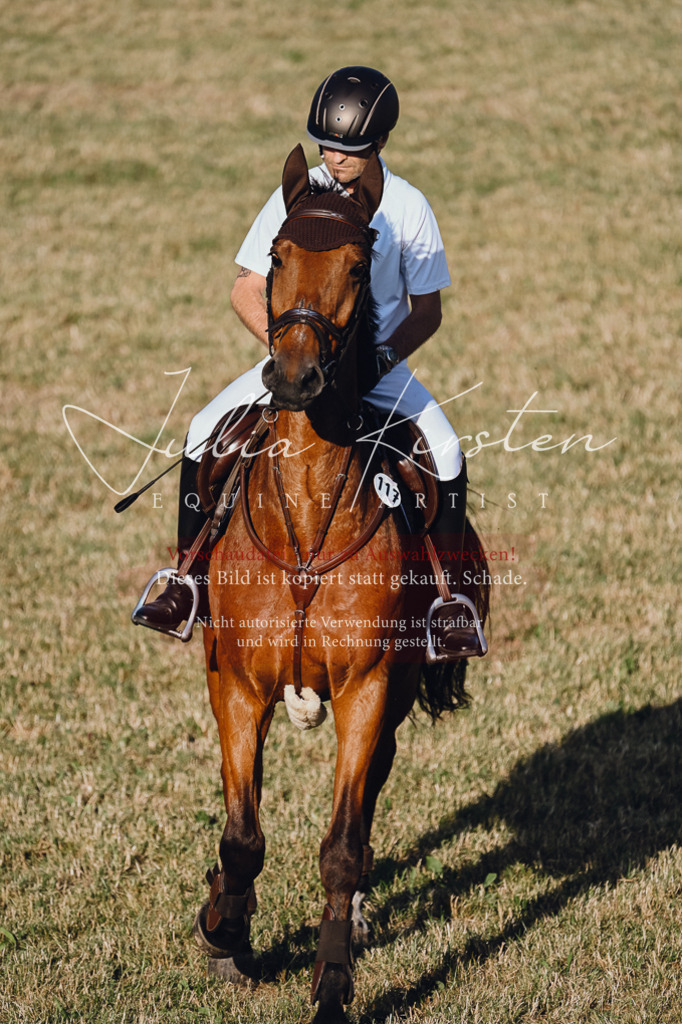 DSC_3261 | Pferde- und Turnierfotografie in Westsachsen. Pferdeportraits, Auftragszeichnungen und intuitive Kunst.